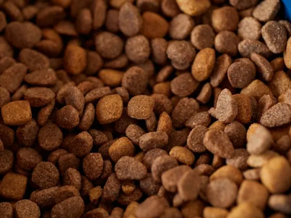 Alimento renal 2 kg