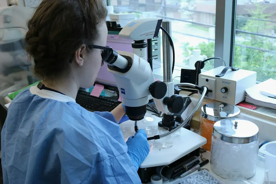 Laboratorio clínico en VetCan